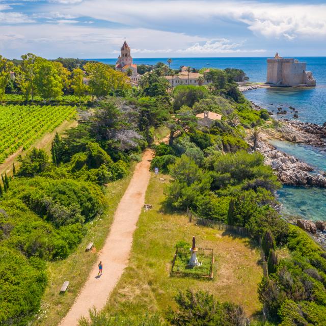 Ile Saint Honorat
