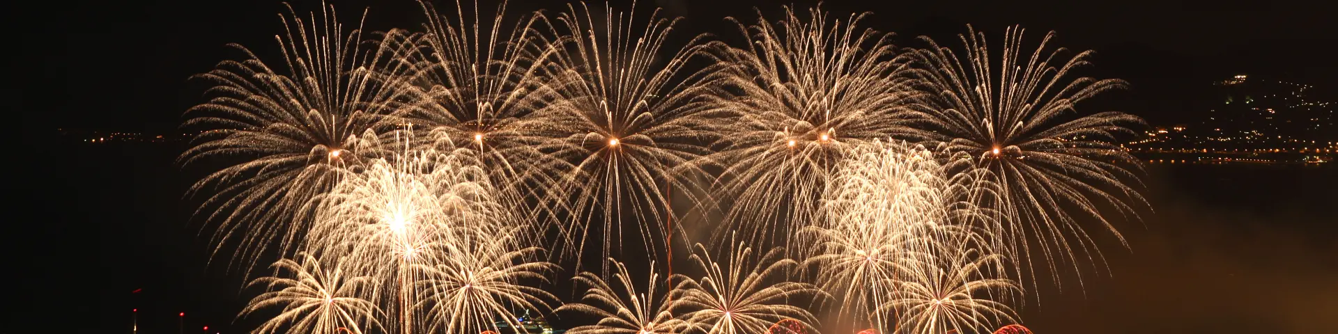 Feux d'artifice de la société Pyrovision (Autriche) au Festival d'Art Pyrotechnique de Cannes 2010
(Photo by Eric Dervaux)