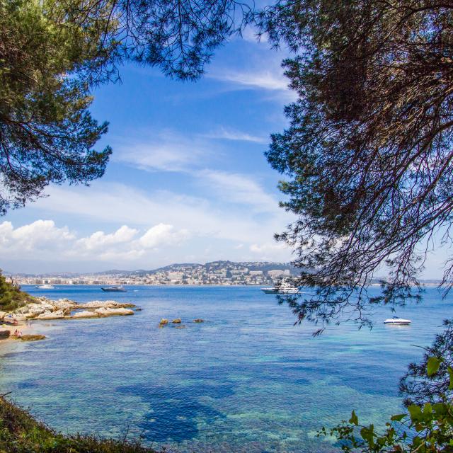 Saint-Honorat Island and Sainte-Marguerite Island: two