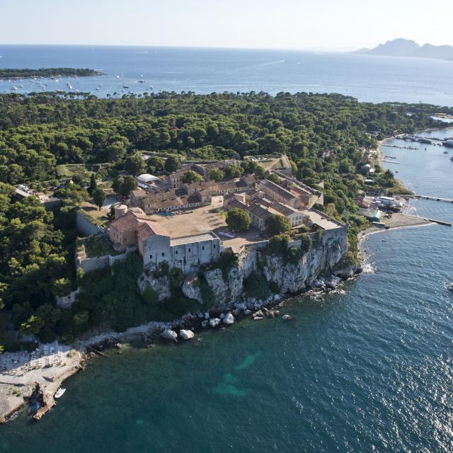 M・モーフラ、LES PINS DE L'ILE ST. HONORAT The Iles de Lérins off Cannes - Mary Anne's France