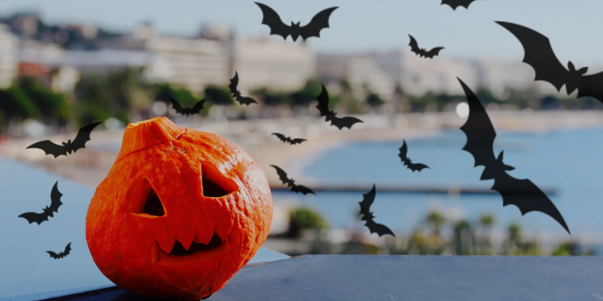 Halloween 2024