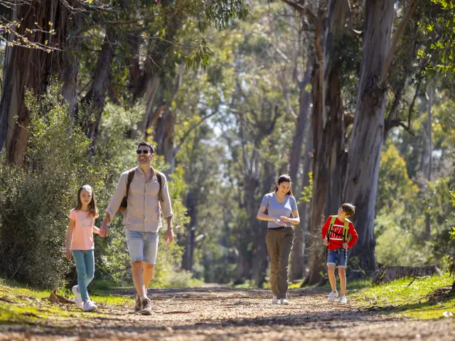 Promenade en famille sur l'Ile Sainte-Marguerite à Cannes