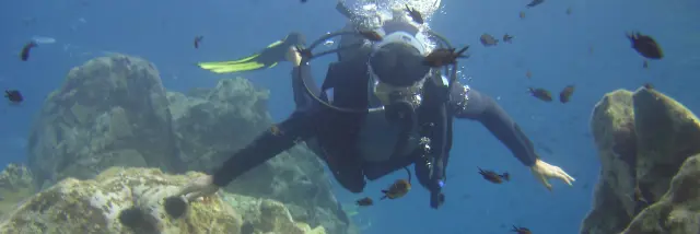 Plongeur Plongee Club De Ca