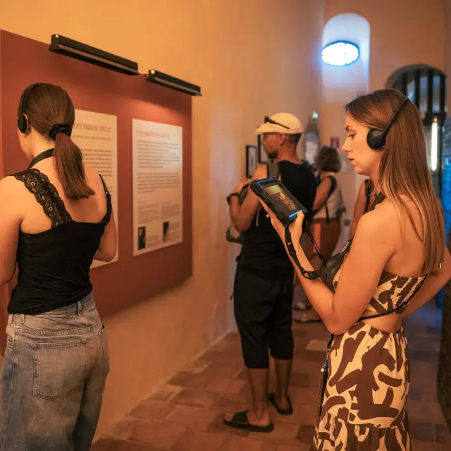 Iron Mask Museum 2026 S 15